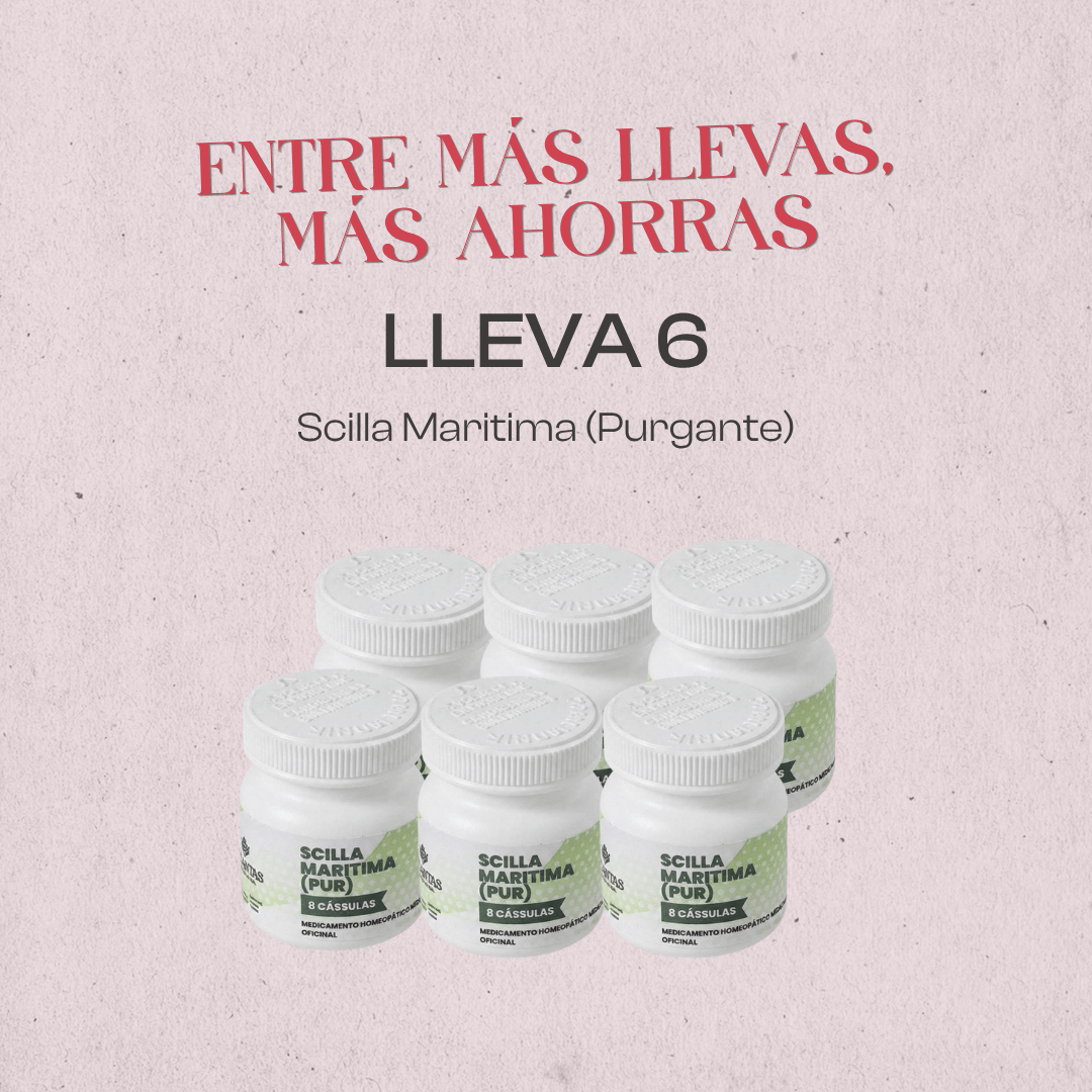 Entre más llevas, más ahorras / Lleva 6