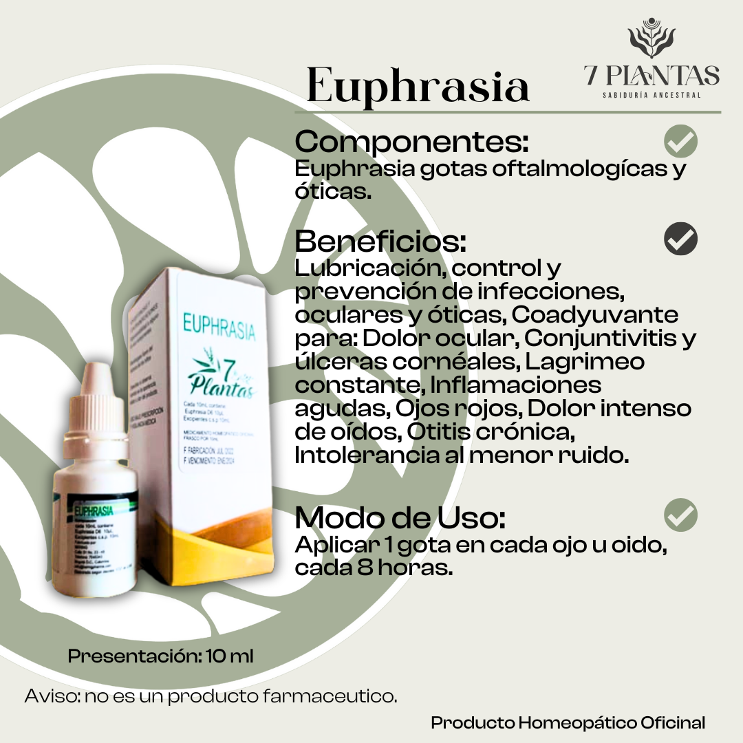Euphrasia