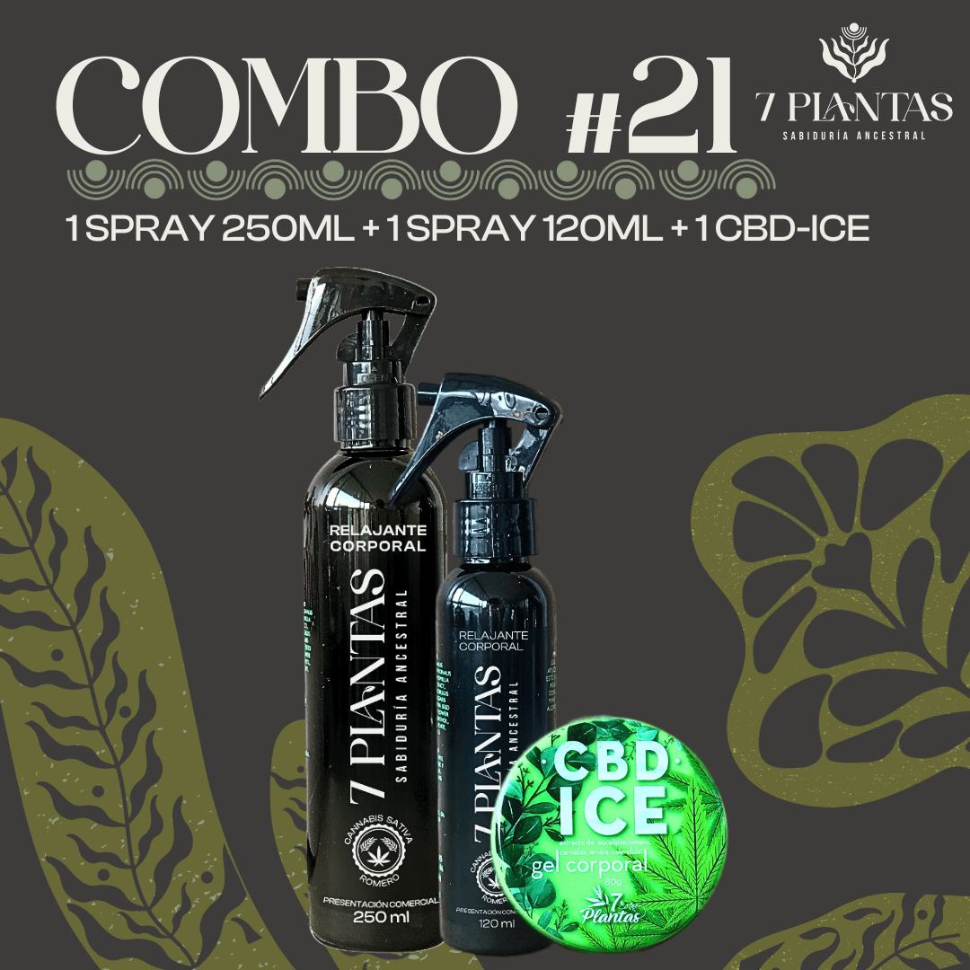 Combo #21