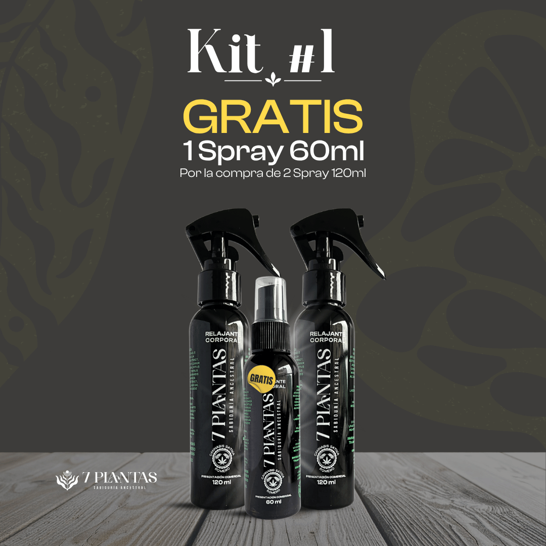 Kit #1