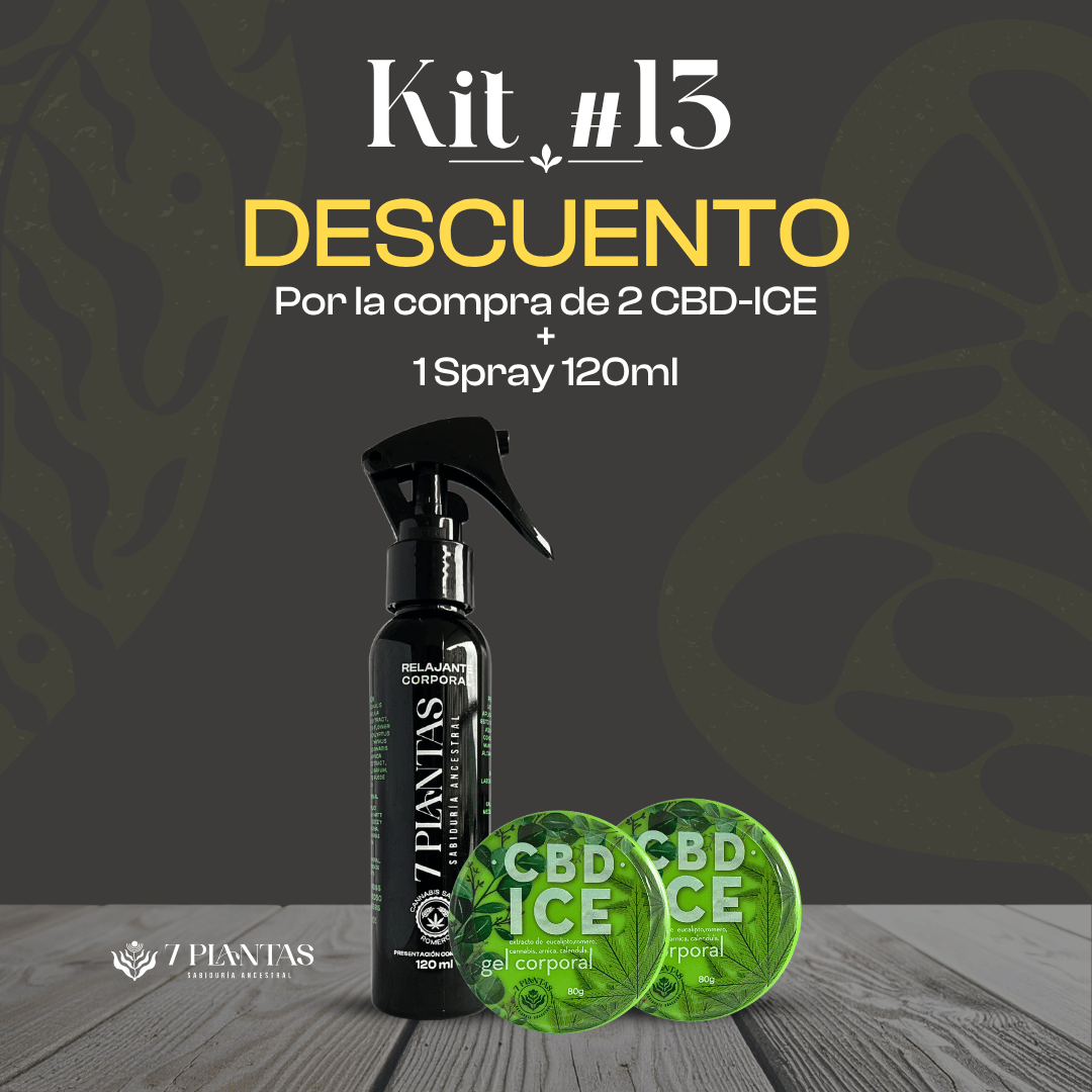 Kit #13