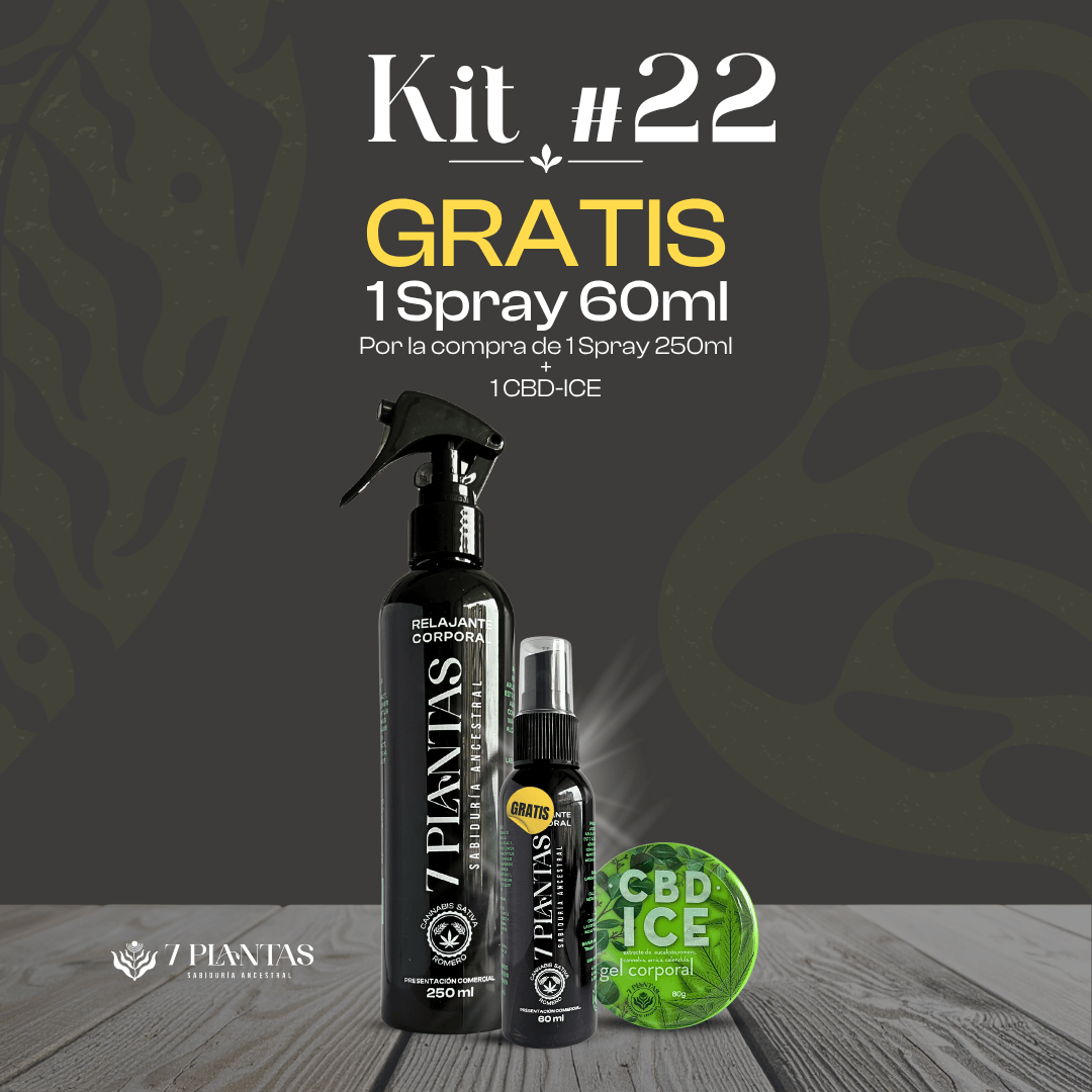 Kit #22