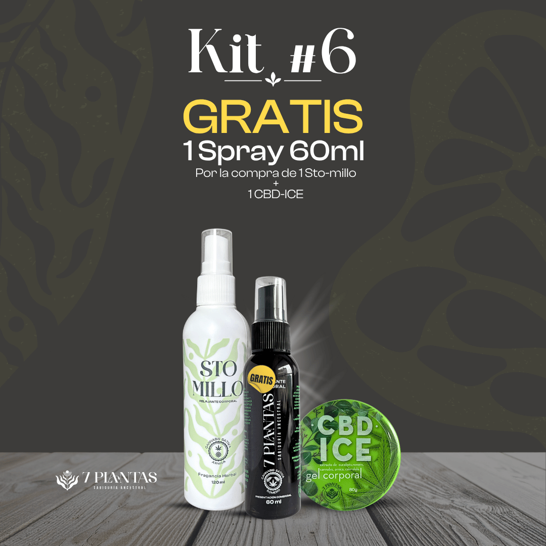 Kit #6
