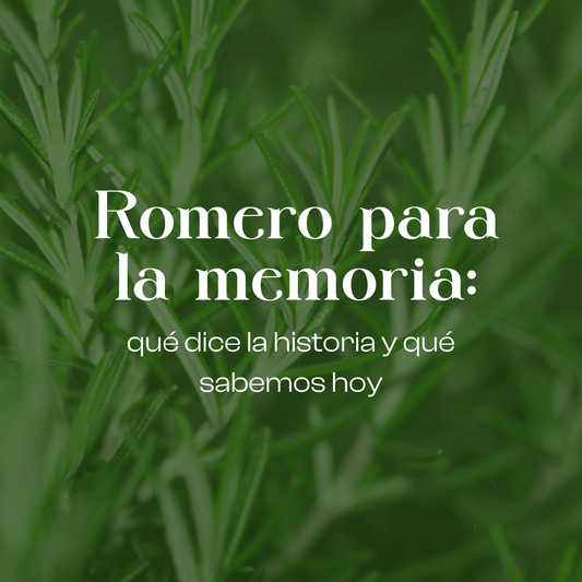 Romero para la memoria: qué dice la historia y qué sabemos hoy