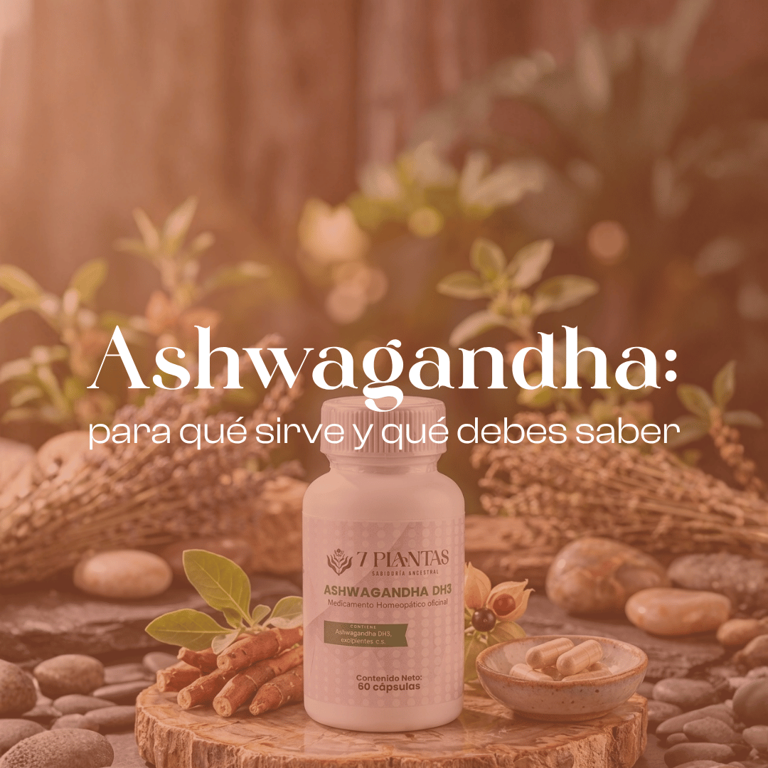 Ashwagandha: para qué sirve y qué debes saber.