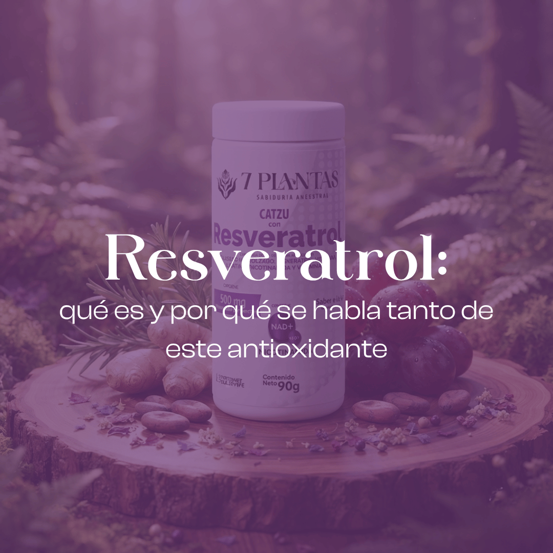 Resveratrol: qué es y por qué se habla tanto de este antioxidante