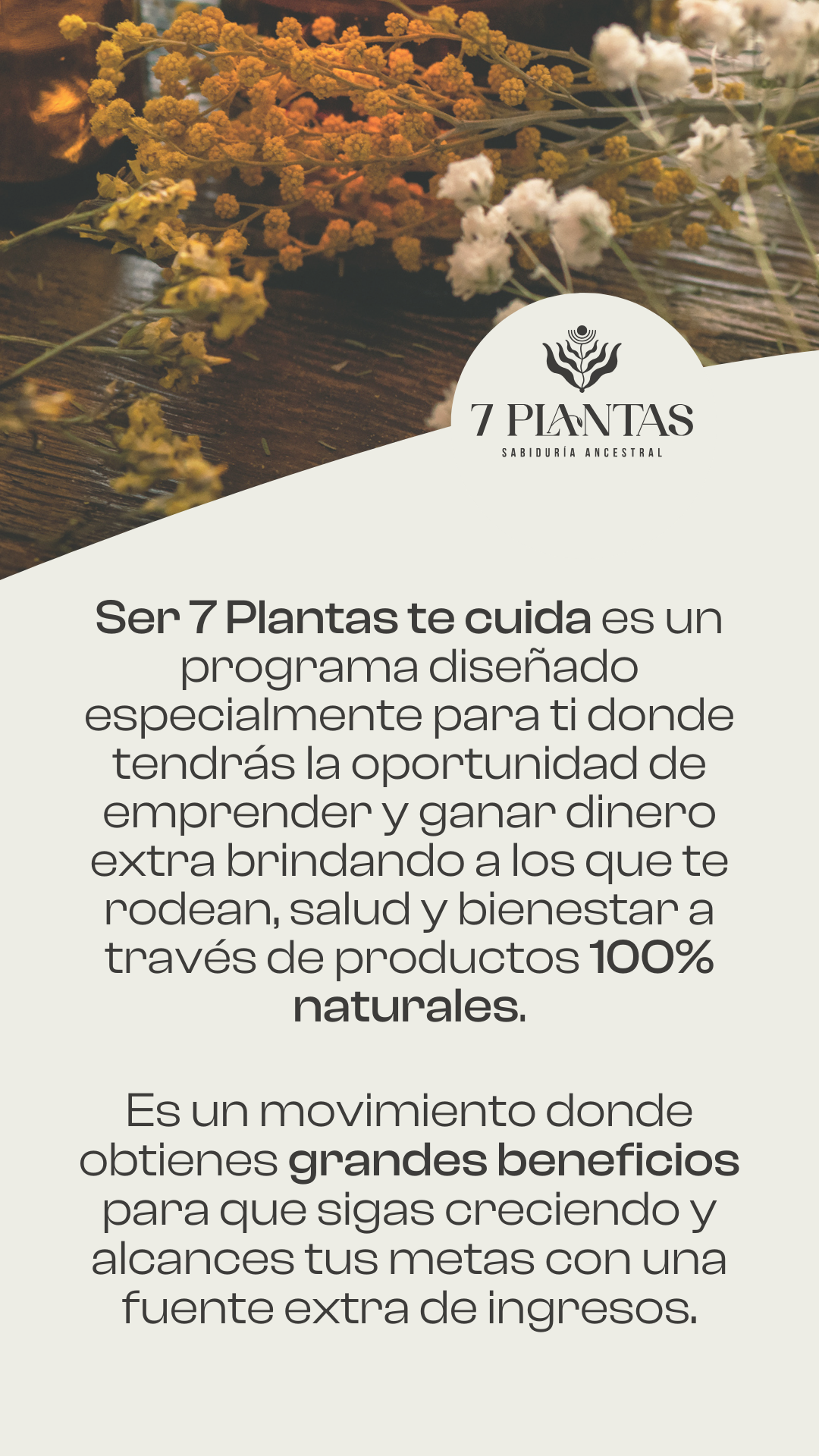 Distribuidor Autorizado