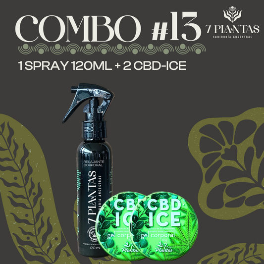 Combo #13