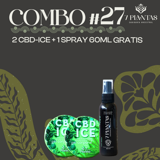 Combo #27
