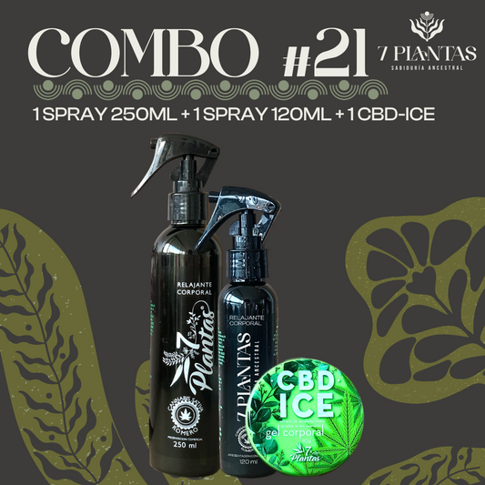 Combo #21