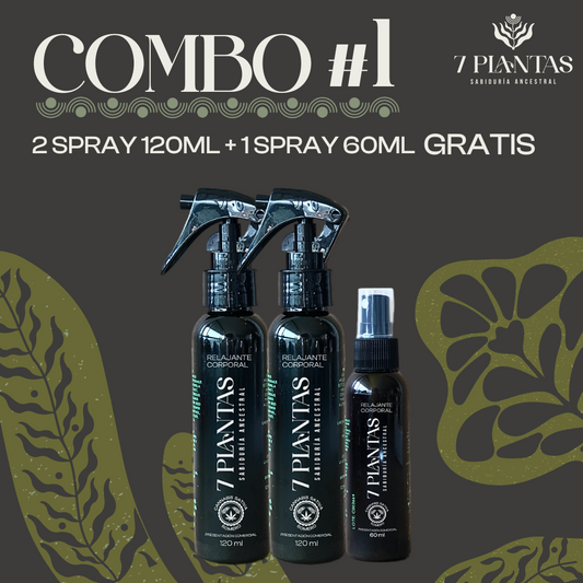 Combo #1