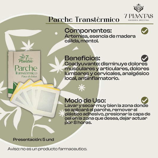 Parche Transtermico