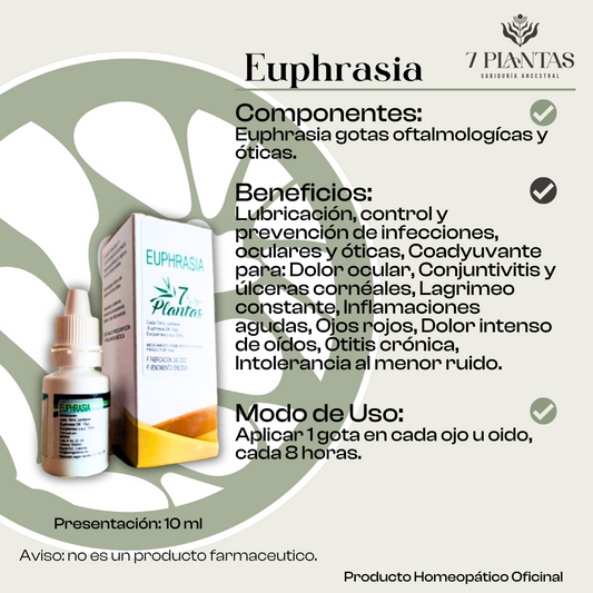 Euphrasia