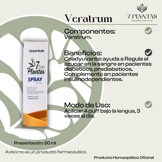Veratrum
