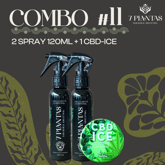 Combo #11