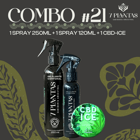 Combo #21
