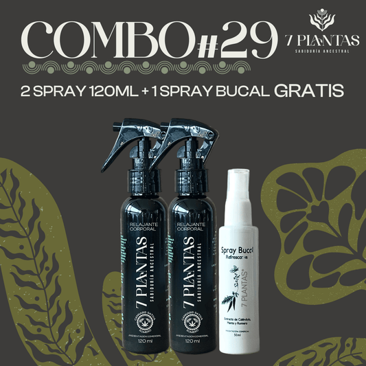 Combo #29