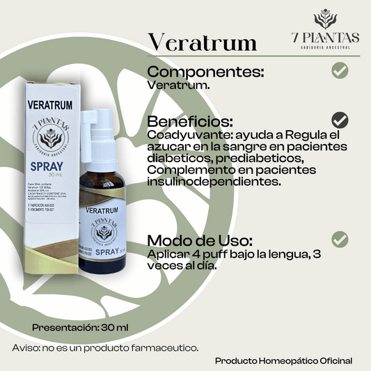 Veratrum