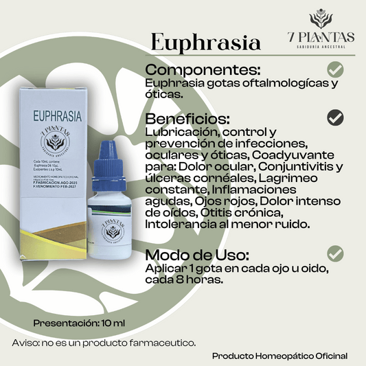 Euphrasia