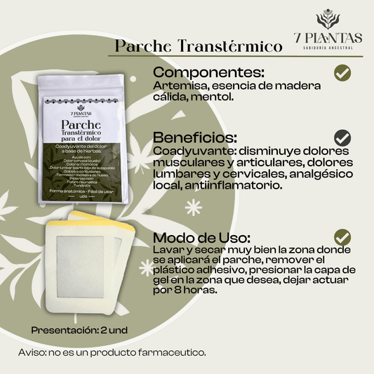 Parche Transtermico