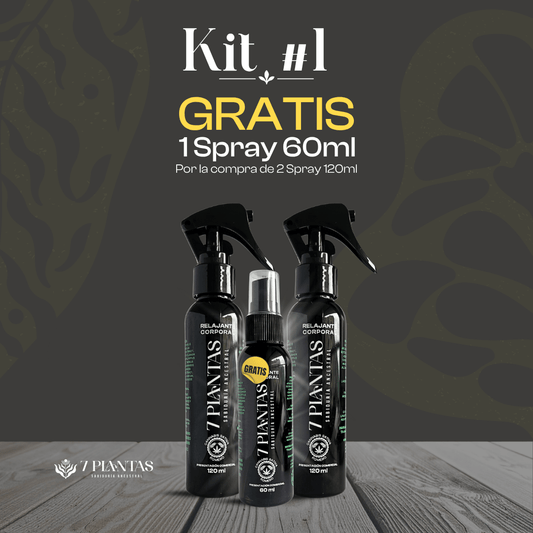 Kit #1