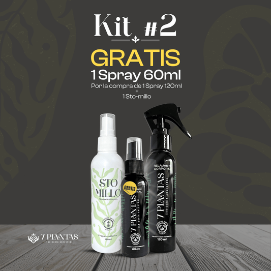 Kit #2