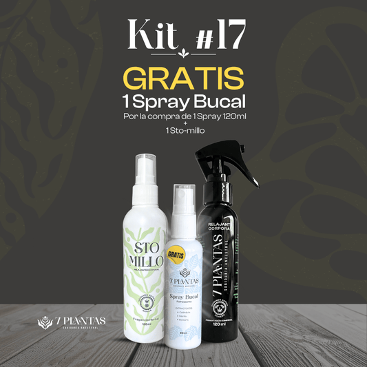 Kit #17