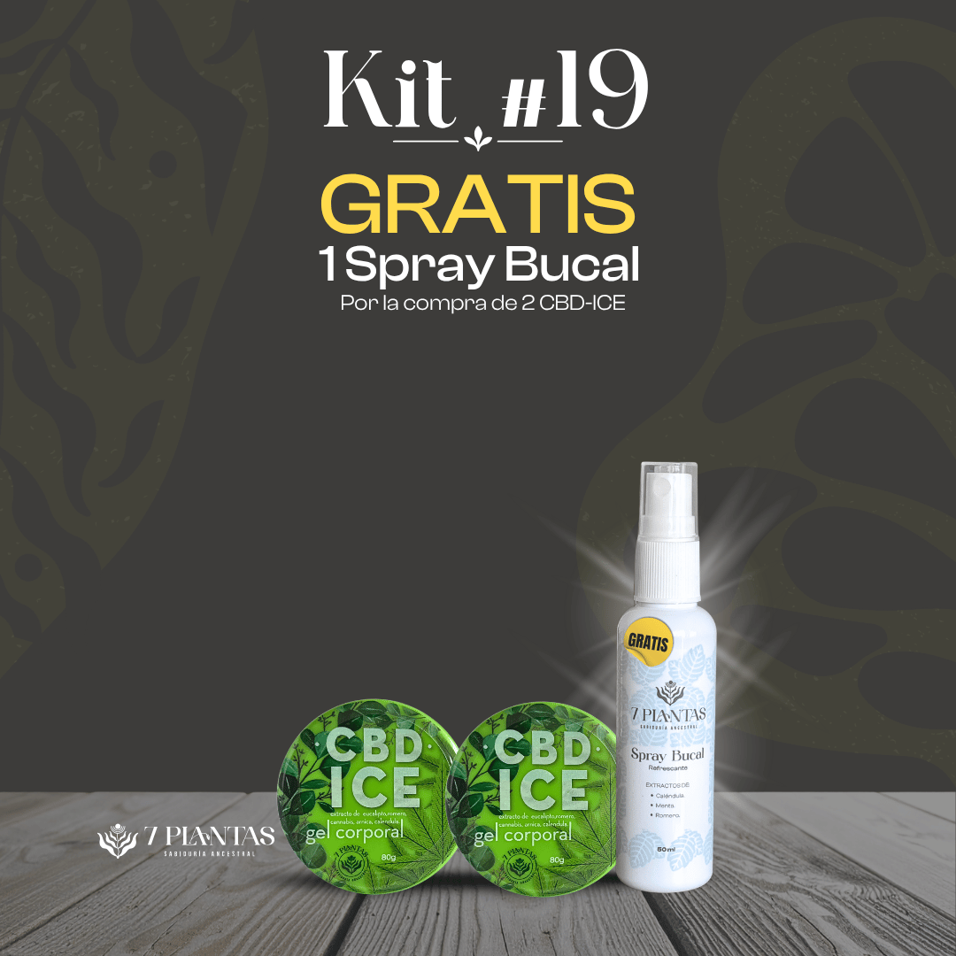 Kit #19