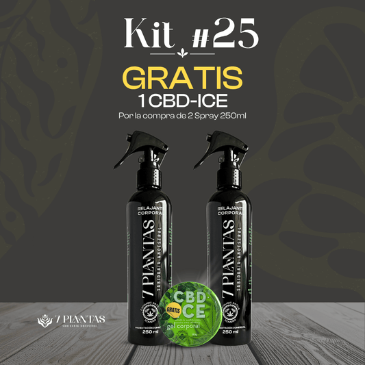 Kit #25