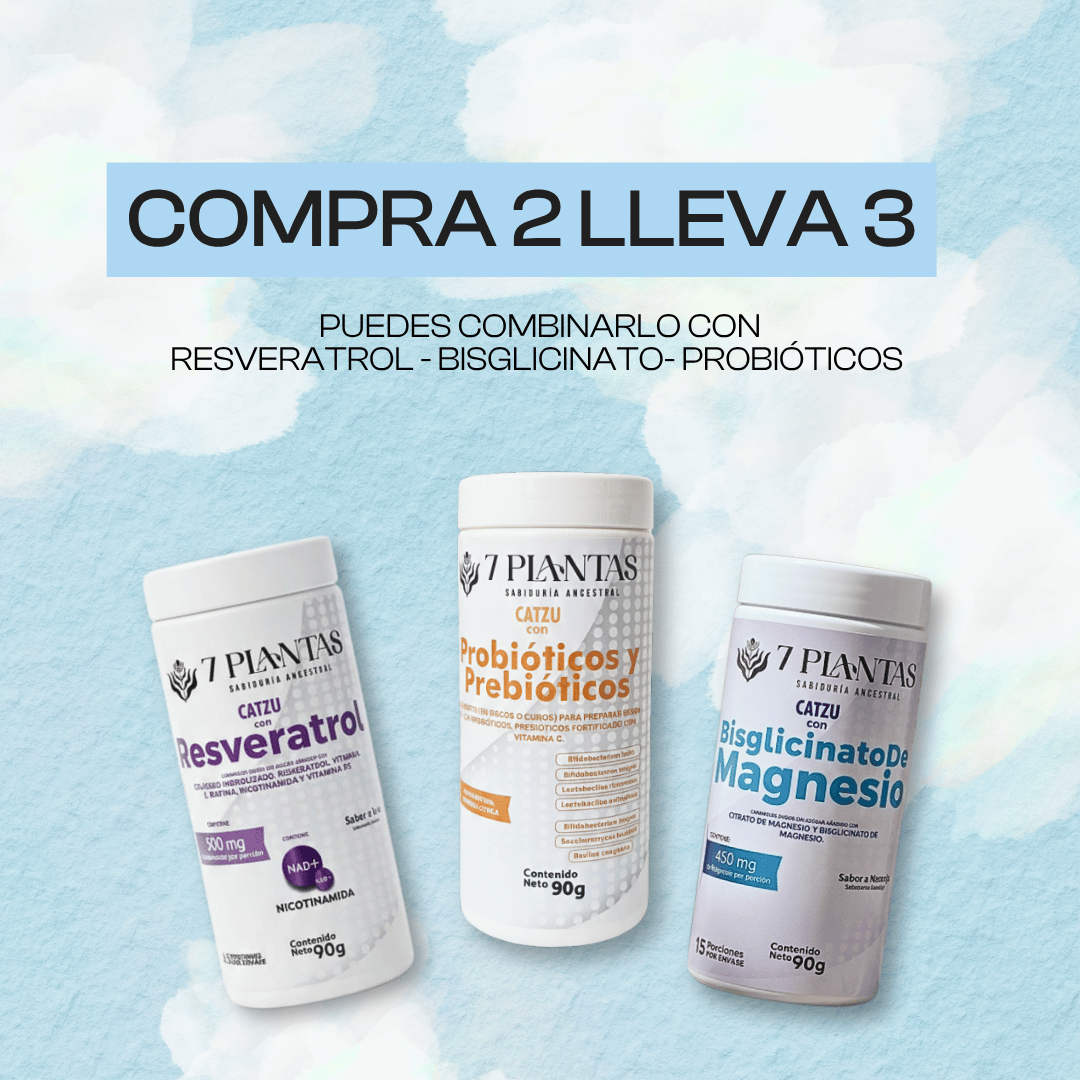 Compra 2 Lleva 3