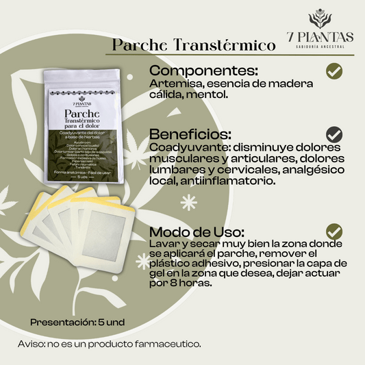 Parche Transtermico