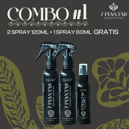 Combo #1