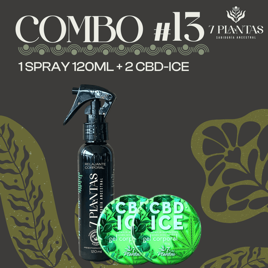 Combo #13